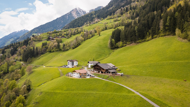 Celine und Harry: Eine authentische Verbindung zur Natur