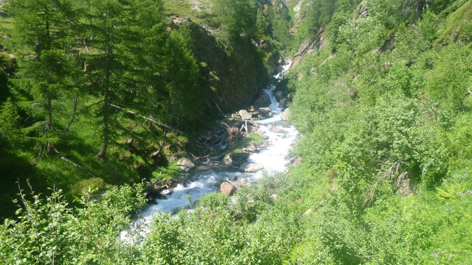 Wandertipp: Timmels-Schwarzsee