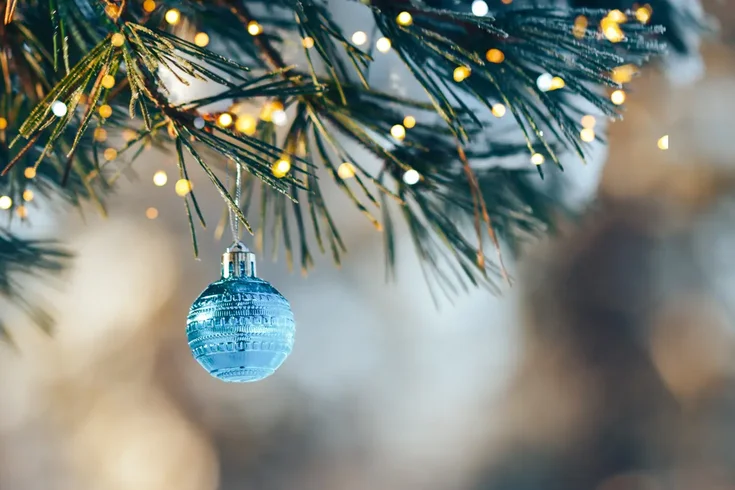 Tra luci, decorazioni e alberi di Natale Tra luci, decorazioni e alberi di Natale