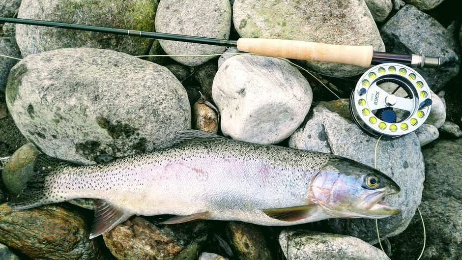 Fliegenfischen und Fischen im Passeiertal