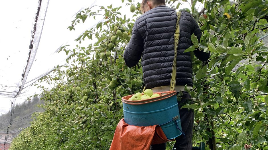 Quela - der neue Quellenhof Bergapfelsaft aus eigener Produktion