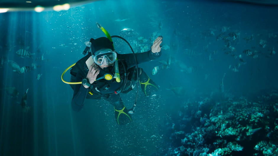 Tauchen in alpiner Bergkulisse – seien Sie dabei! Tauchen in alpiner Bergkulisse – seien Sie dabei!