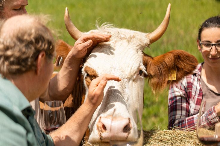 Celine und Harry: Eine authentische Verbindung zur Natur