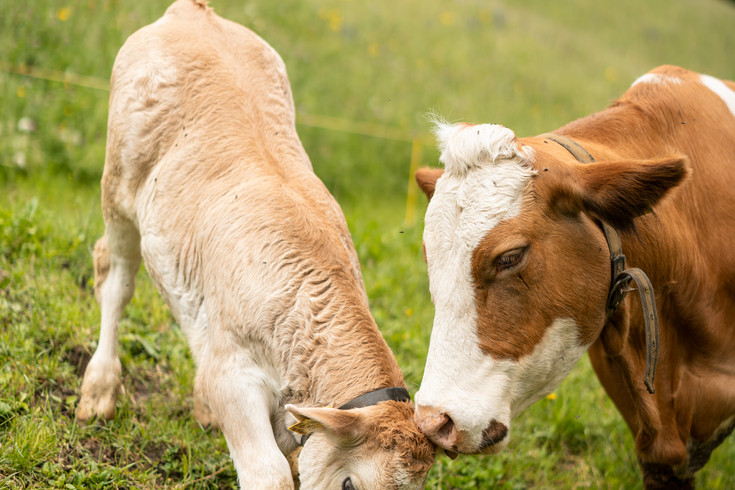 Celine und Harry: Eine authentische Verbindung zur Natur