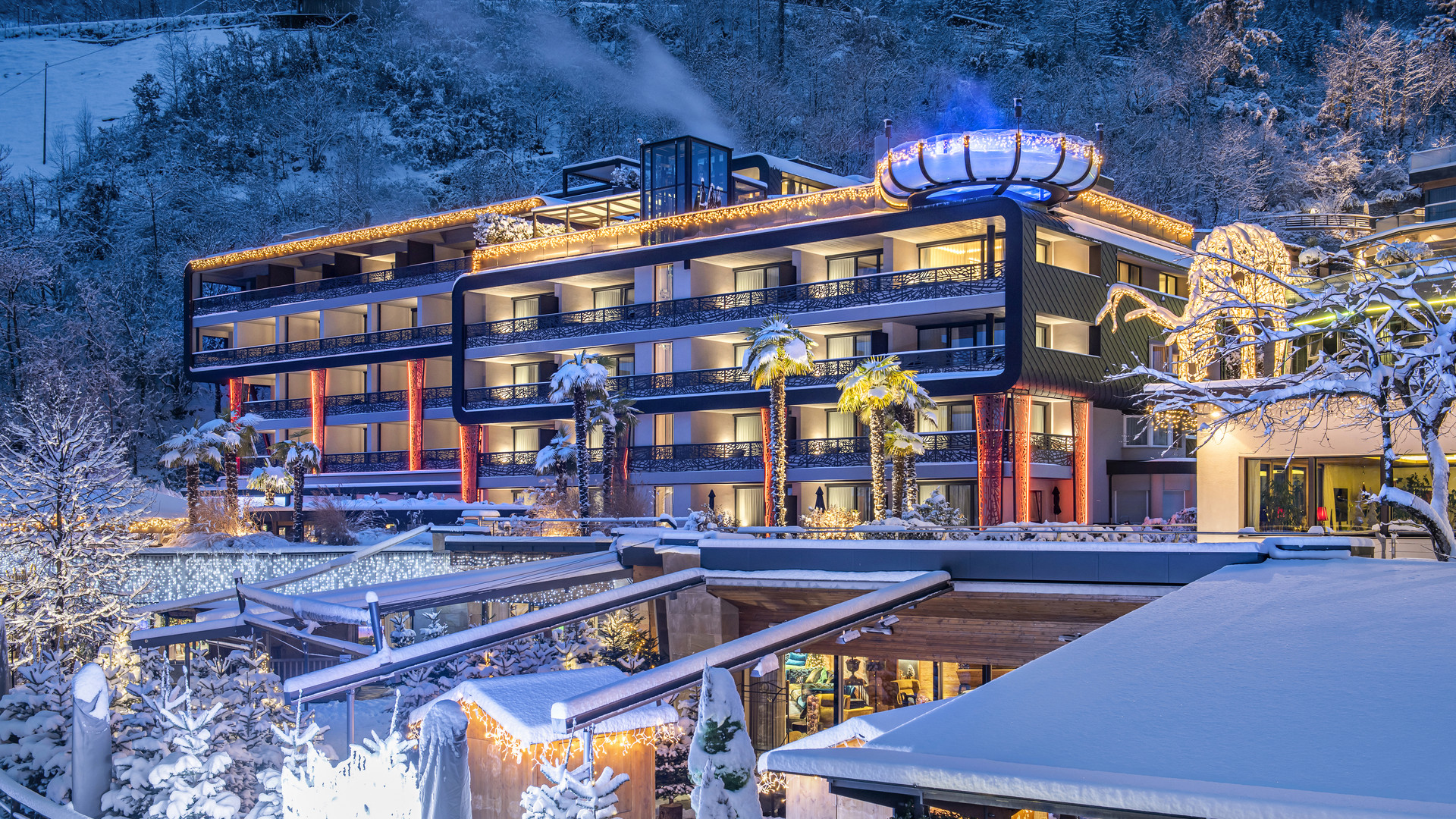 Tra luci, decorazioni e alberi di Natale Tra luci, decorazioni e alberi di Natale